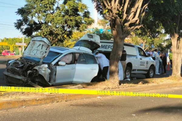Automovilista muere tras chocar contra árbol frente a la Macroplaza Estadio