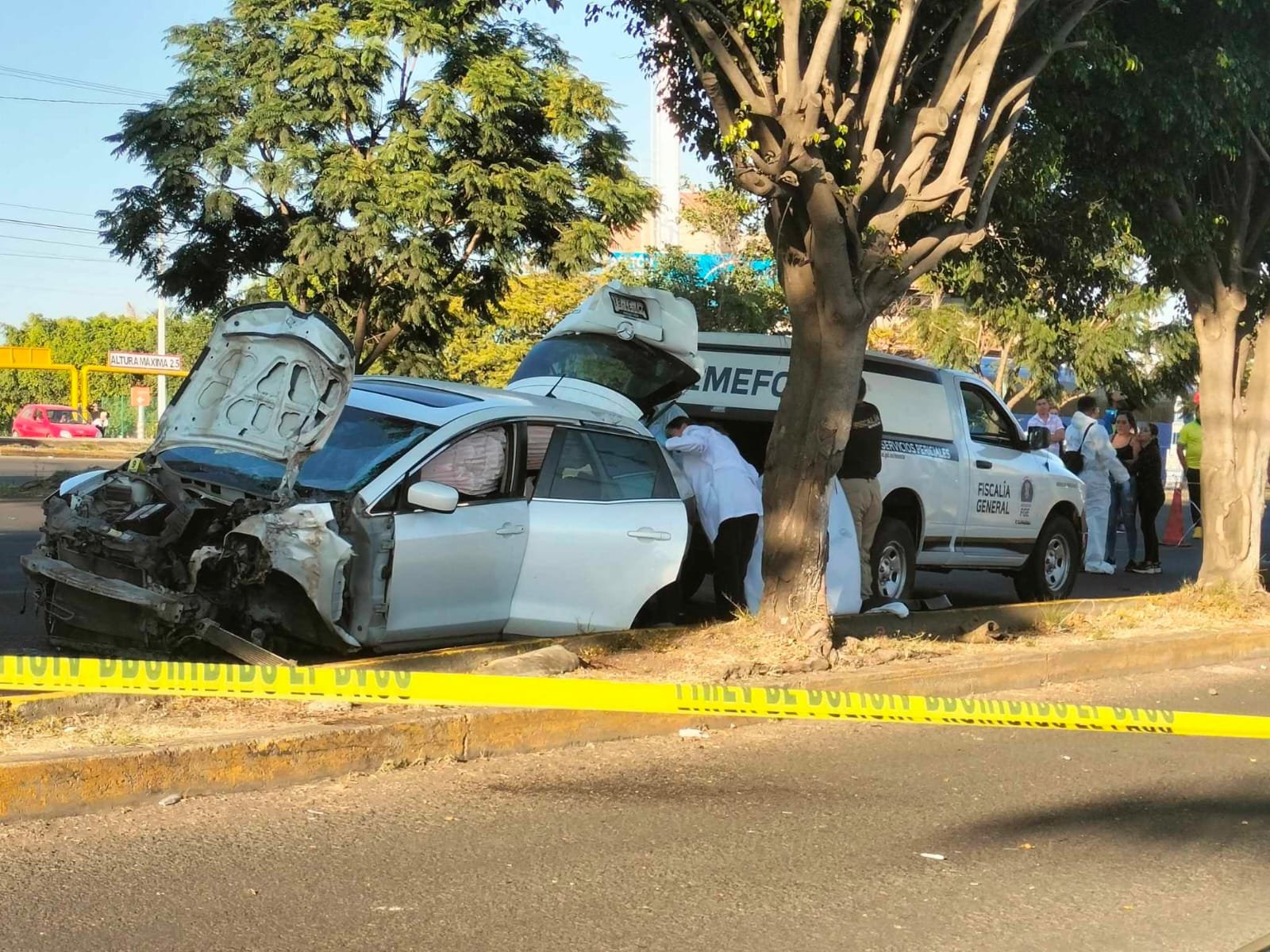 Automovilista muere tras chocar contra árbol frente a la Macroplaza Estadio