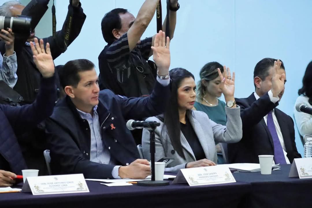 Listo dictamen en materia de protección a las mujeres en el Senado: Araceli Saucedo